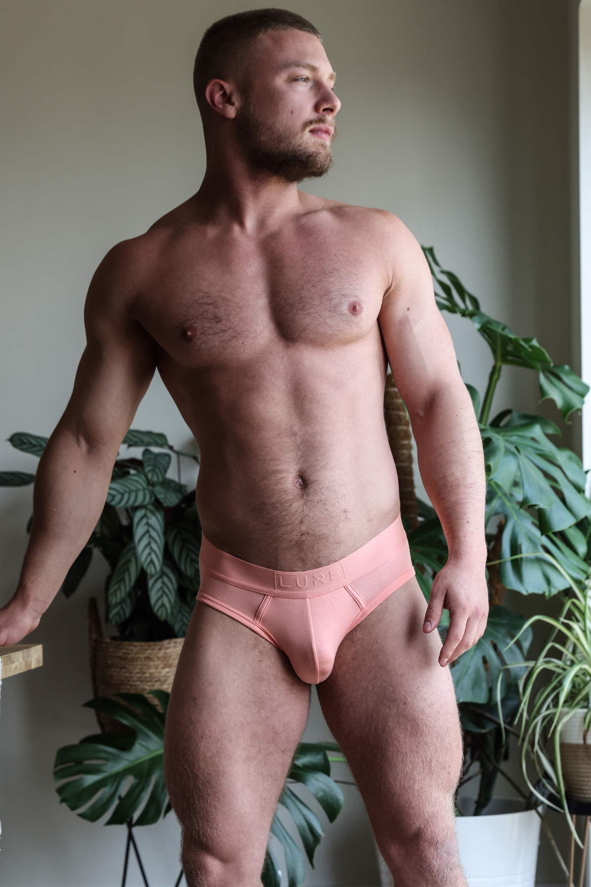 Blush Brief - Low Key Luxe