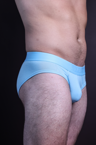 Bluebird Brief - Low Key Luxe